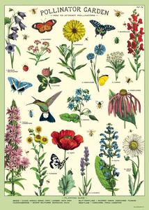 Poster - Pollinator Garden