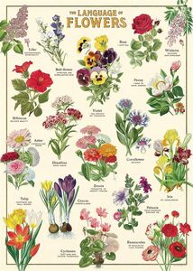 Posters: Poster - Language of Flowers