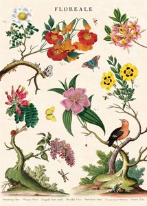 Posters: Poster - Floreale