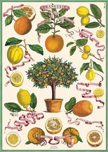 Posters: Poster - Orangerie