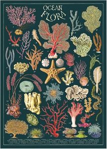 Posters: Poster - Ocean Flora