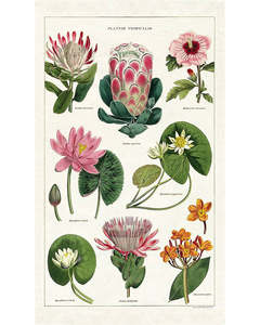 C - Tea Towel - Tropical Plants