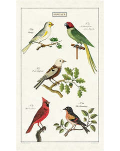Tea Towels: C - Tea Towel - Birds