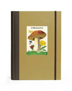 C - Window Notebook - Foraging