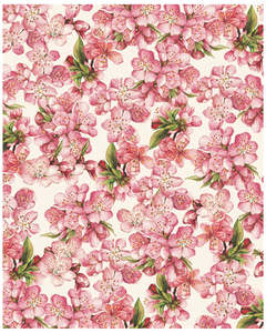 Wrap - Peach Blossom