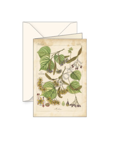 Greeting Cards: Card T - Linden Leaves