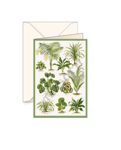 Card T - Tropical Plants