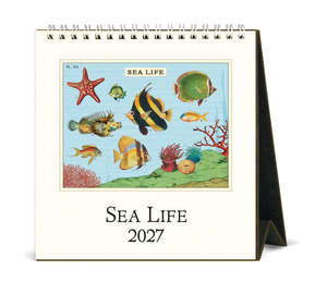 Desk Calendars: Desk Calendar - Sea Life