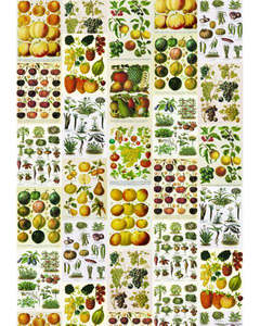 Poster - Frutta e Verdura
