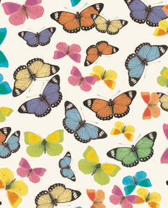 Wrapping Paper: Wrap - Coloured Butterflies