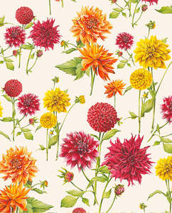 Wrapping Paper: Wrap - Dahlias