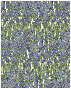 Wrap - Lavender