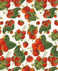 Wrapping Paper: Wrap - Strawberries