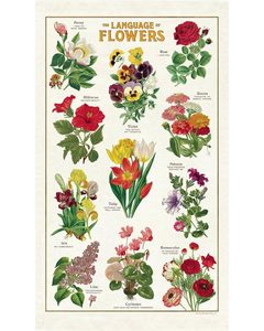 Gift Ideas: Tea Towel - Language of Flowers