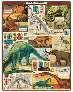 Gift Ideas: Jigsaw Puzzle - Dinosaurs