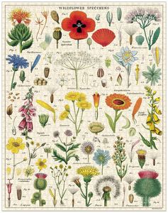 Gift Ideas: Jigsaw Puzzle - Wildflowers 1