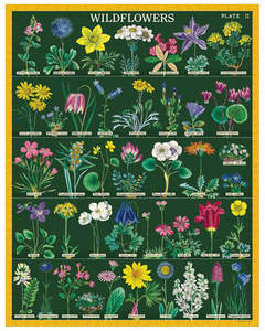 Jigsaw Puzzle - Wildflowers 2