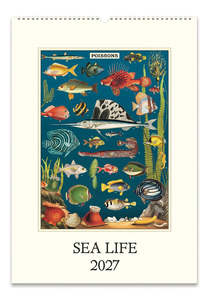 Wall Calendars: Wall Calendar - Sea Life