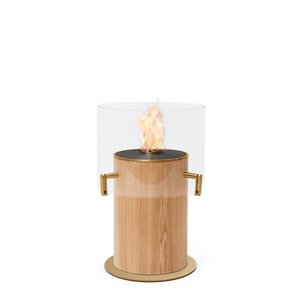 Ecosmart Fire: Pillar Designer Fireplace + AB3 Burner