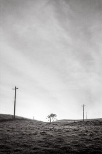 Products: Lines Of Otaua Paul C Smith