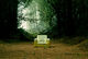Maxell Paul C Smith