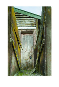 Products: Pink Door Paul C Smith