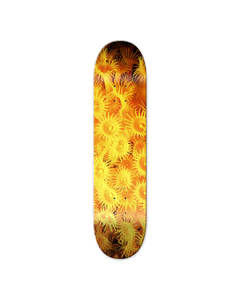 DAYLIGHT ZOANTHID DECK - YELLOW 8.5"