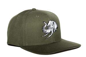 UNCONDITIONAL ELEPHANT IN THE ROOM CAP - GREEN