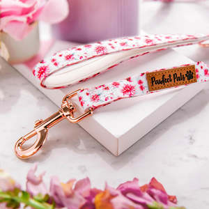 Pick of the Bunch - Soft Lead