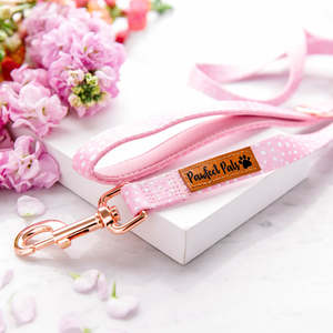 Soft Dog Leads: Think Pretty Thoughts - Dots Soft Lead