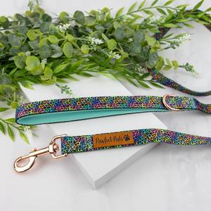 Soft Dog Leads: Wild Rainbow - Soft Lead