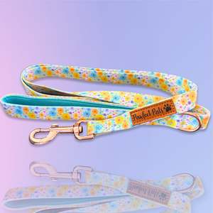 Soft Dog Leads: Once and Flor-all - Soft Lead