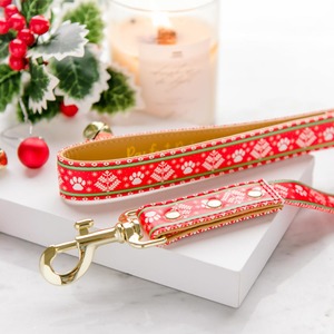 Sleigh-In It - Vegan Leather Dog Lead