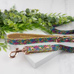 Wild Rainbow - Vegan Leather Dog Lead