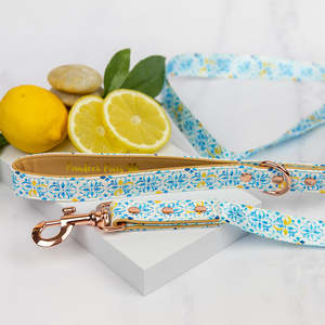 Santorini Summer - Vegan Leather Dog Lead