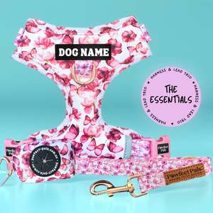 You Give me Butterflies - Personalised Adjustable Harness Trio