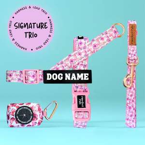 You Give me Butterflies - Personalised Strap Harness Trio