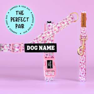 You Give me Butterflies - Personalised Strap Harness Duo