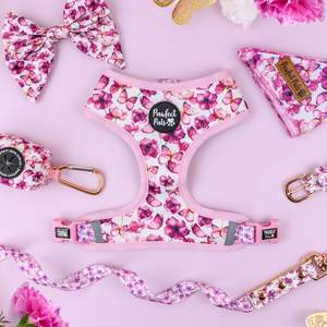 You Give Me Butterflies Range: You Give me Butterflies Walkies Pack