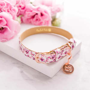 You Give Me Butterflies Range: You Give me Butterflies - Dog Collar