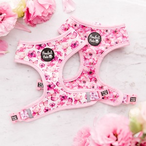 You Give Me Butterflies - Reversible Dog Harness