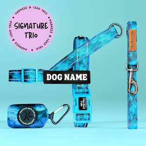 Shell Yeah - Personalised Strap Harness Trio