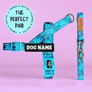 Shell Yeah - Personalised Strap Harness Duo