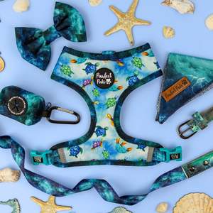 Shell Yeah Range: Shell Yeah Walkies Pack