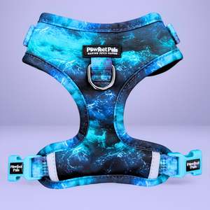 Shell Yeah Range: Shell Yeah - Ocean Waves No-Pull Adjustable Harness