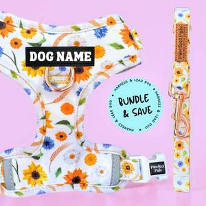 Sunshine On My Mind Range: Sunshine on my Mind - Personalised Adjustable Harness Duo