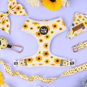 Sunshine On My Mind Range: Sunshine on my Mind Walkies Pack