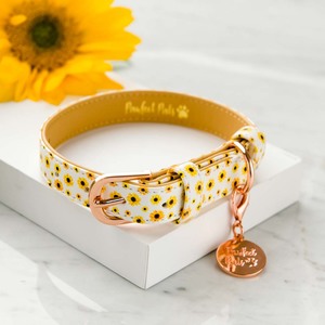 Sunshine On My Mind Range: Sunshine on my Mind - Dog Collar