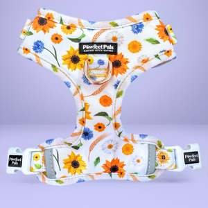 Sunshine On My Mind Range: Sunshine on my Mind - No-Pull Adjustable Harness