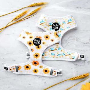 Sunshine on my Mind - Reversible Dog Harness